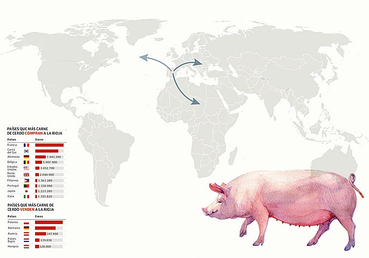 La Rioja se juega unos 100 millones al año en exportaciones por la peste porcina africana